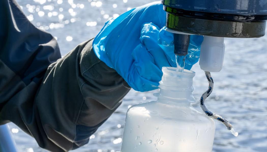 Efter ökade hot mot Mälaren – förbundet öppnar 90-konto Foto: Johan Hammar/LIFE IP Rich Waters
