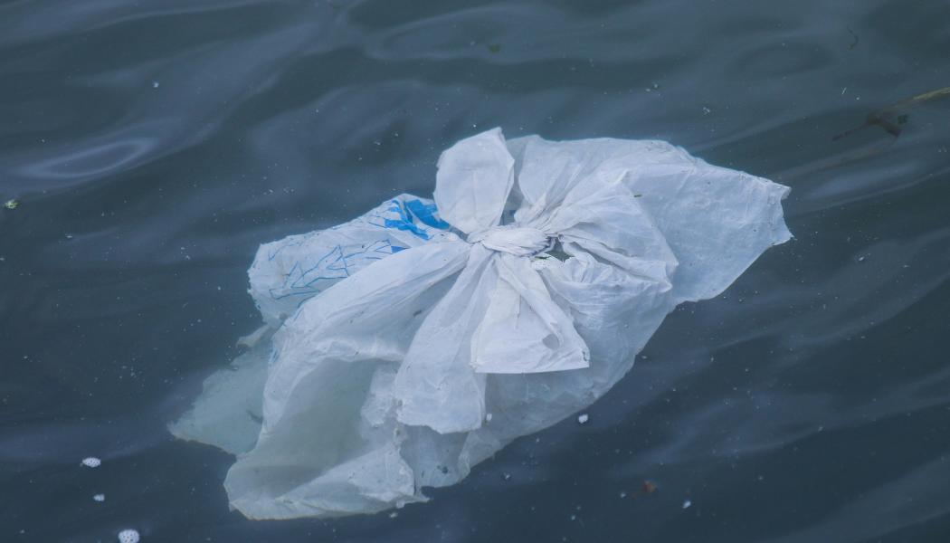 Mikroskopiska plastpartiklar ökar i miljön och har samband med inflammation i tarmarna. De minsta kan även ta sig vidare till andra organ, visar ny studie. Foto: brian yurasits/Unsplash