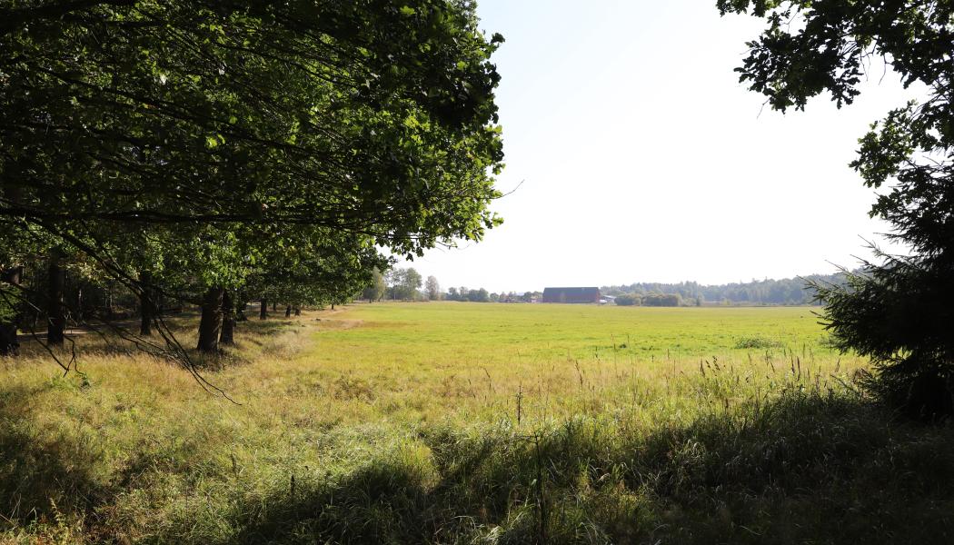 Erstaviks naturområde. Foto: Nacka kommun