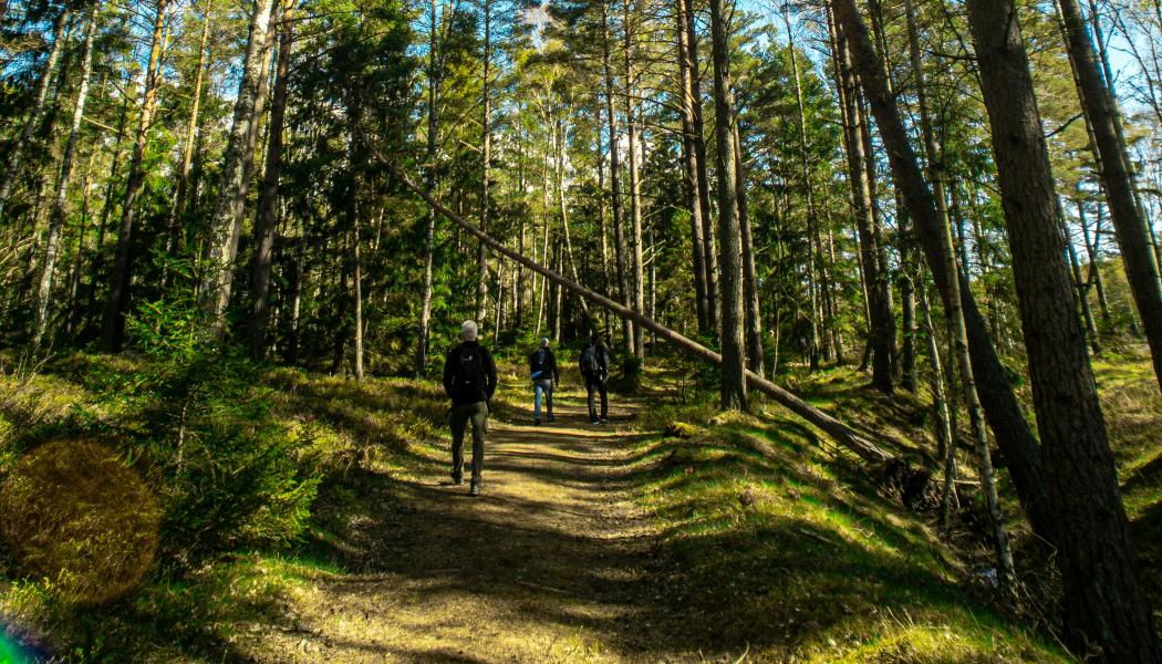 Haninge. Foto: Jocke Wulcan/Unsplash