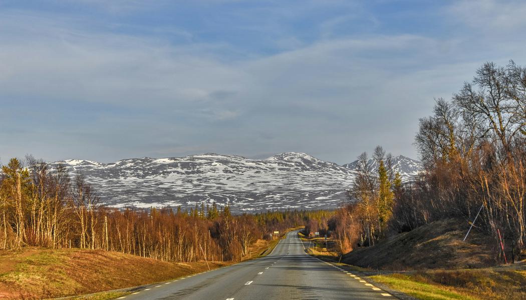 15 km av E4:an i Västerbotten ska breddas och byggas om. Foto: andreas m/unsplash