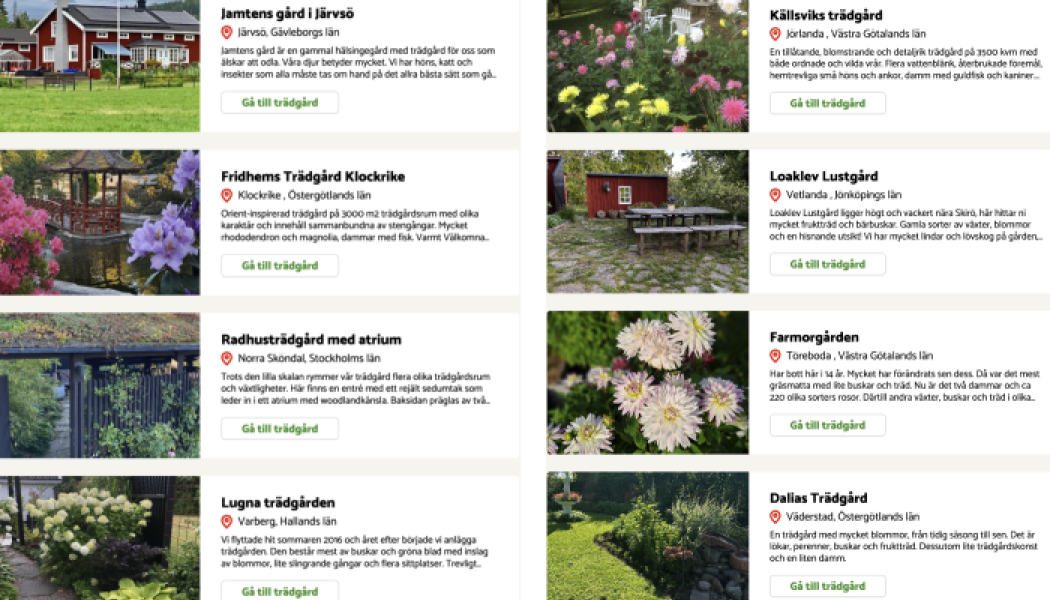 Rekordmånga trädgårdsägare deltar i årets Öppen Trädgård. Foto: Land