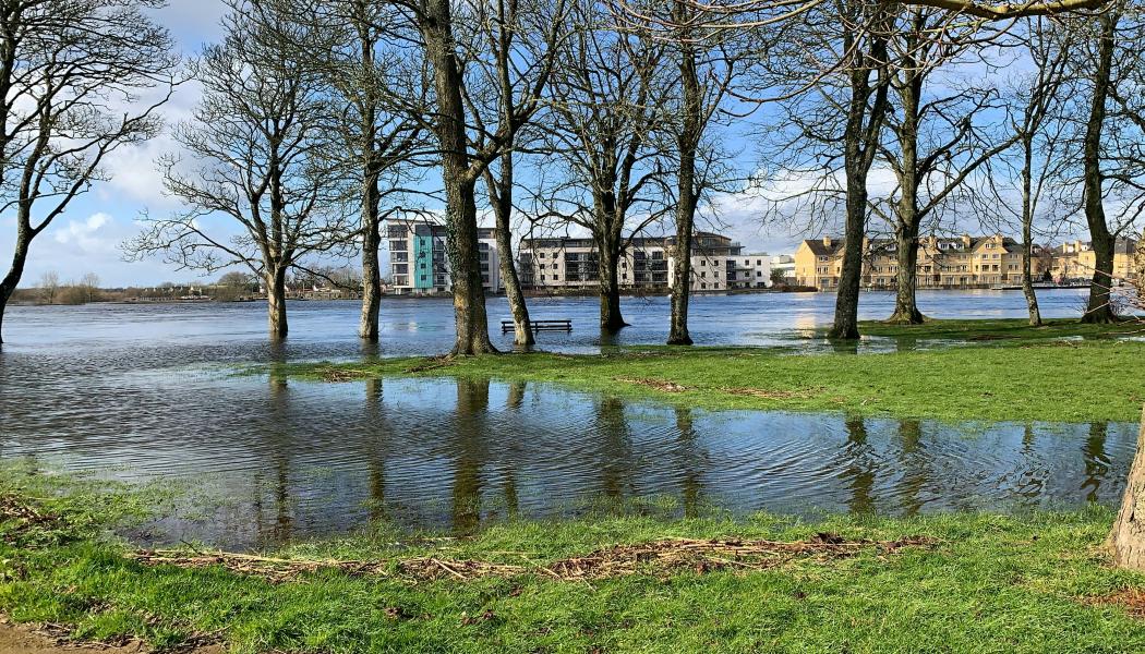 Under de senaste fem åren har 62 000 villor drabbats av naturskador i Sverige. Värst drabbad är Gävle kommun, medan Bjurholm har lägst andel naturskador på villor. Foto: Surendran MP/Unsplash