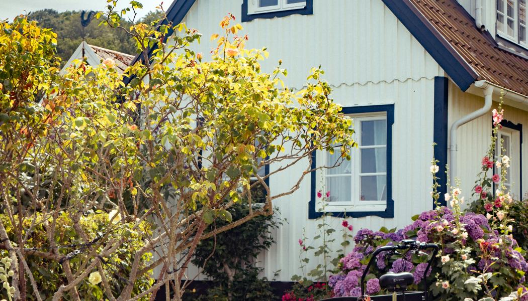 Småhus. Foto: Patrick Federi / Unsplash