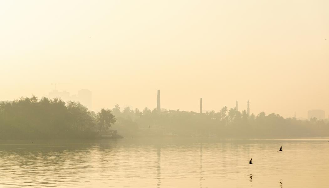 PFAS är mycket långlivade ämnen som ger upphov till miljö- och hälsoskador under mycket lång tid. Foto: Hemansu Tanty/Unsplash