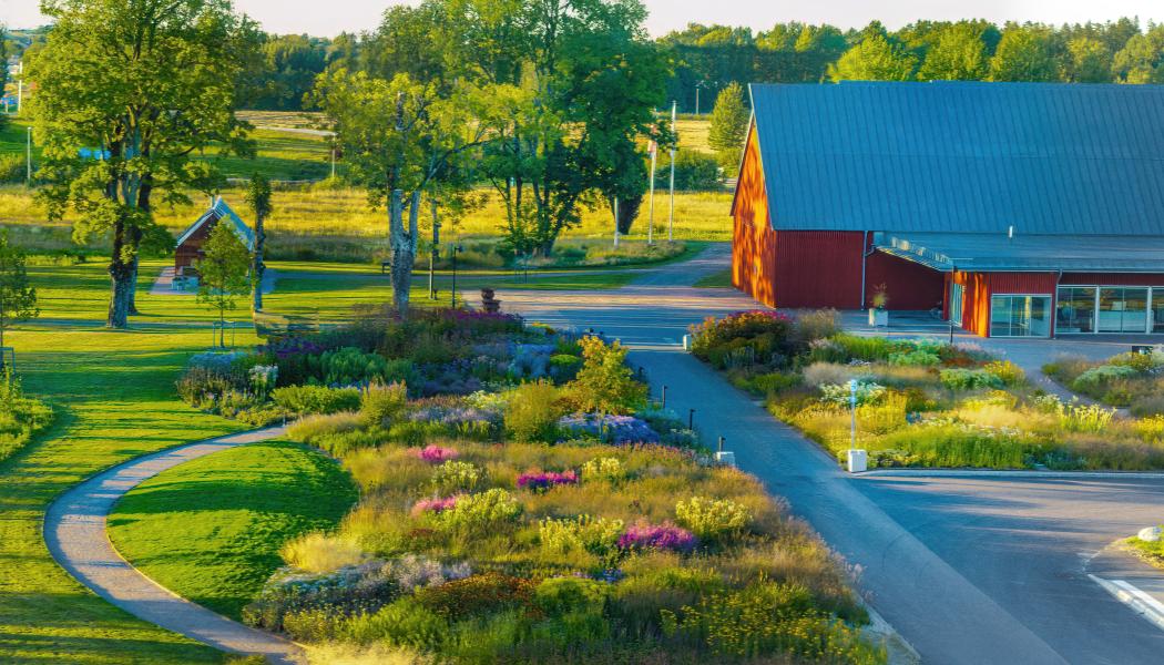 Piet Oudolfs trädgård augusti Fotograf: John Nelander