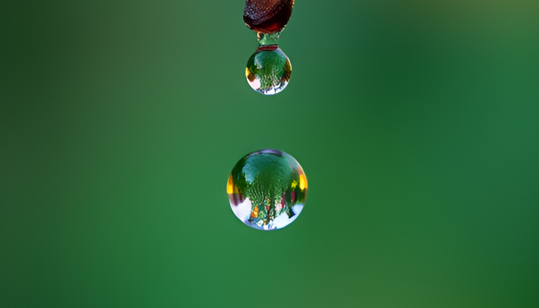 Bild: AI-genererad bild. Inte ett fotografi.
Copyright © Conventus – AI-genererat innehåll. Inget av materialet får reproduceras eller användas i andra sammanhang utan skriftligt tillstånd.


