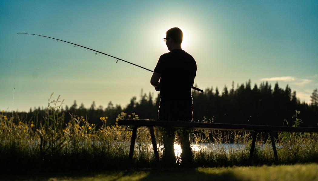 Syftet med mätningen är att få en uppdaterad bild av hur halterna av cesium-137 varierar mellan olika fiskarter och sjöar i de områden som påverkades efter Tjernobylolyckan 1986. Foto: Radonova