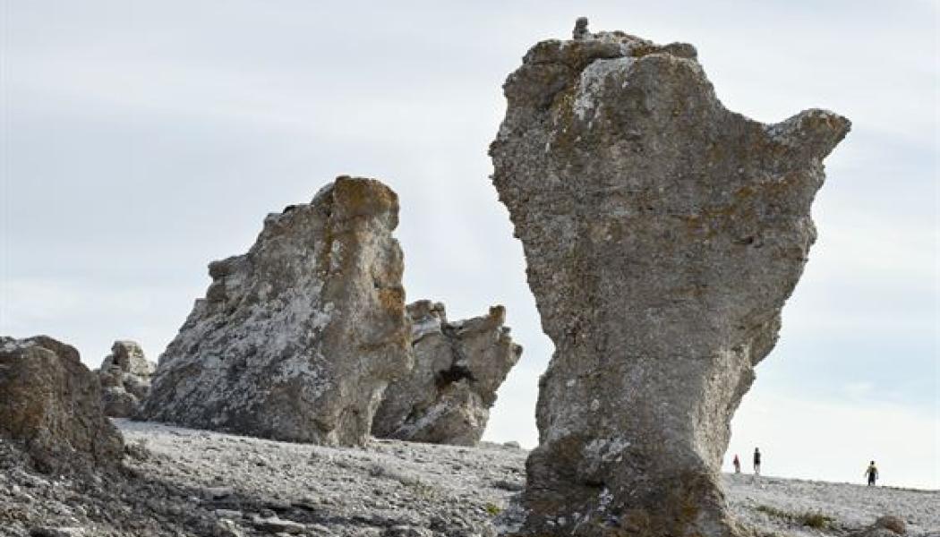    
Raukar Gotland. Pressbild: Vattenfall