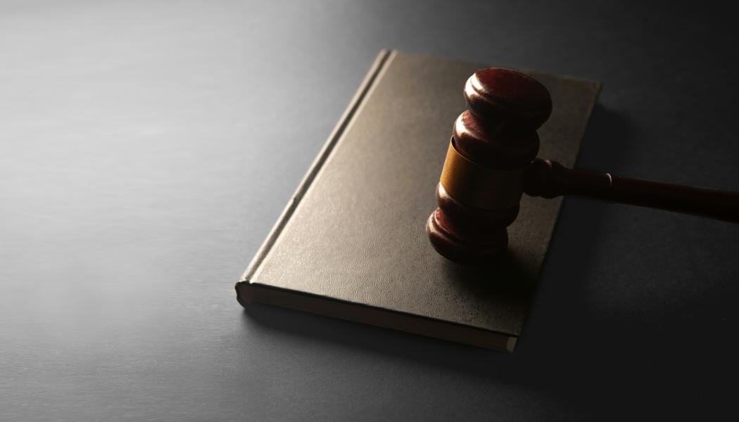 Konkurrensverket bedömer att värdet på upphandlingen av interimsavtalet uppgår till 248 miljoner kronor. Foto: Sasun Bughdaryan/Unsplash
