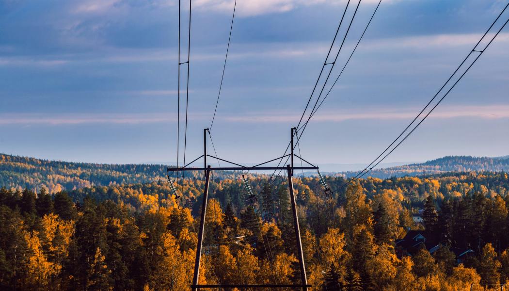 Kraftledningar i Finland Foto: J-V Hintikka/Unsplash