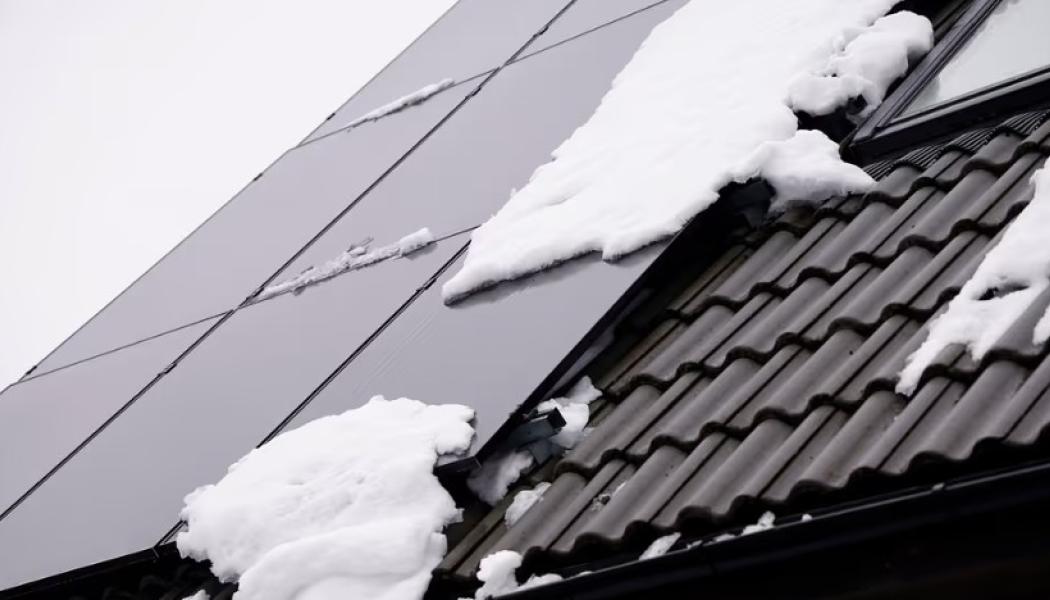 Ägarna begär nu företagsrekonstruktion av Sesol Foto: Adam Ihse