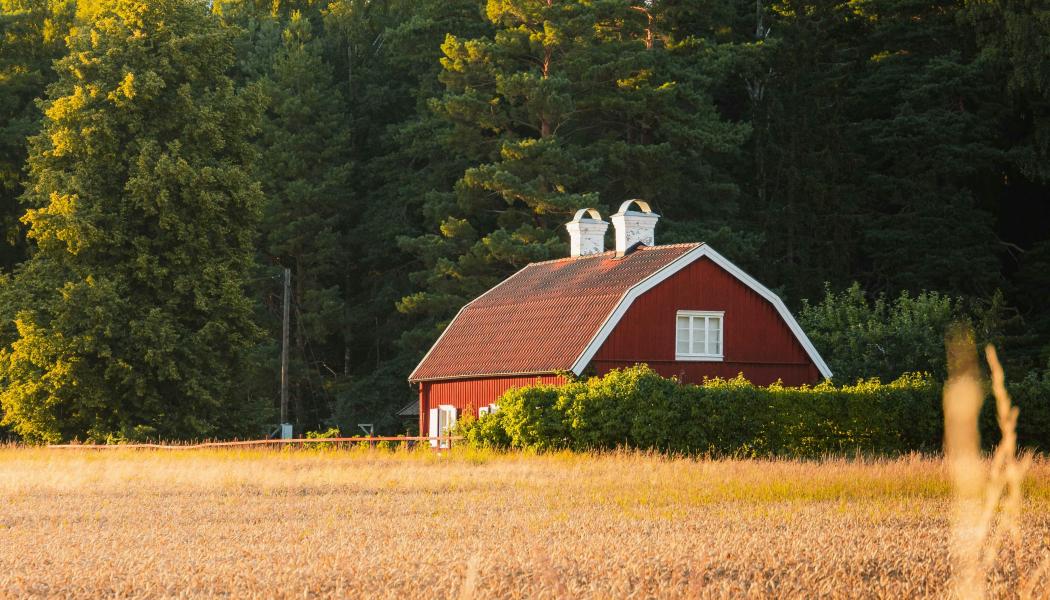 Hus i ett torrt vetefält Foto: Benoît Deschasaux/Unsplash