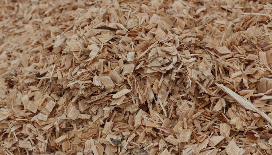 Company’s main businesses include wood chip procurement and bioethanol production.