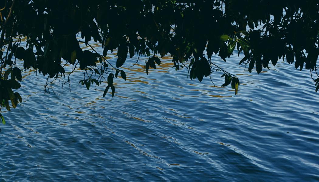 Foto: ha nguy/Unsplash