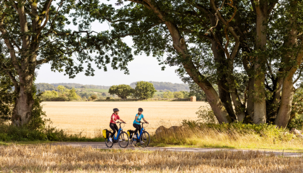 Juryn lyfter fram satsningar som präglas av god cykelbarhet, tillgänglighet och innovativa lösningar. Foto: Region Skåne