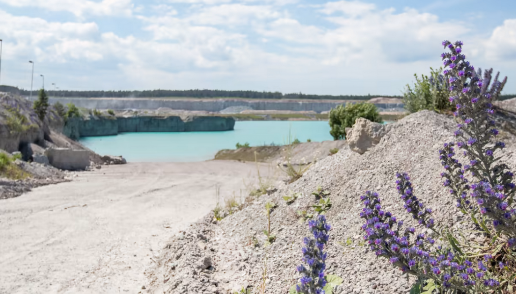 Tidigare kalkstenstäkt på Slite, Gotland. Foto: Cementa