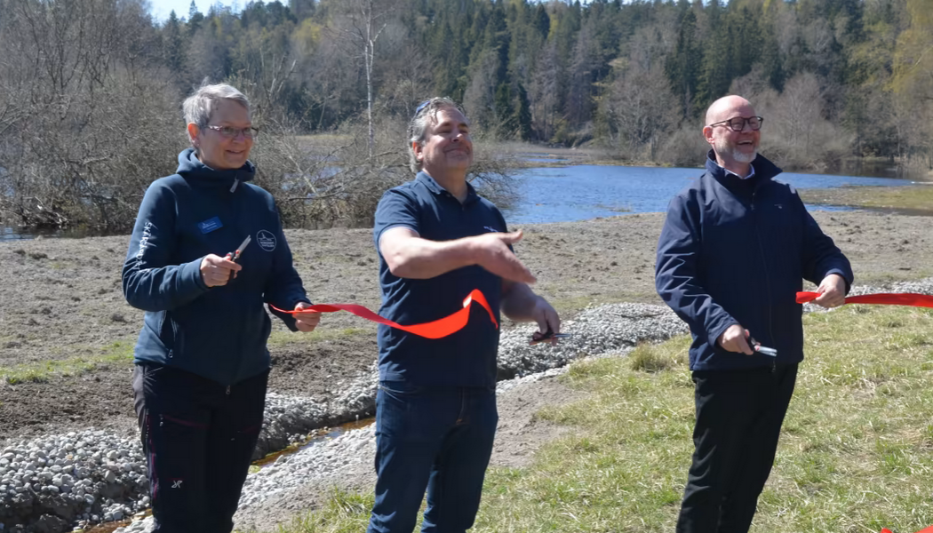 Här invigs våtmarken Ålö Gård av Apotea, Skärgårdsstiftelsen och Världsnaturfonden WWF. Foto: Apotea