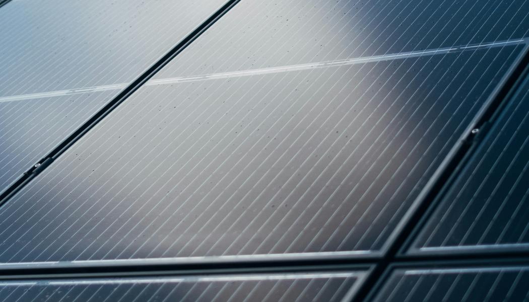 Solceller. Pressbild: Miljöpartiet i Region Stockholm