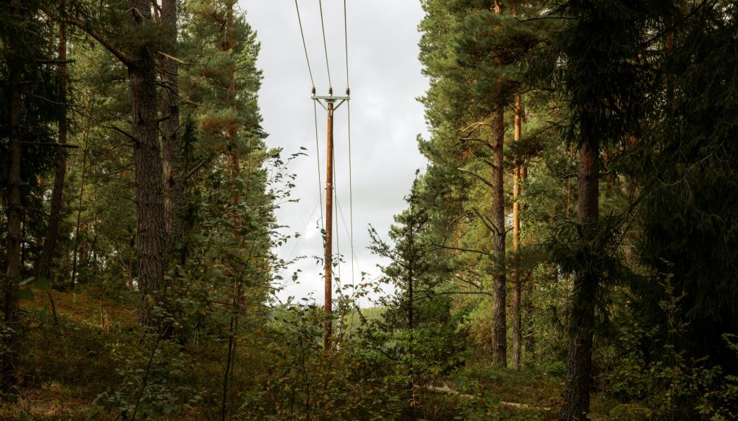 Elstolpe i Vaxholm, nord-öst om Stockholm. Foto: Joylynn Goh /Unsplash