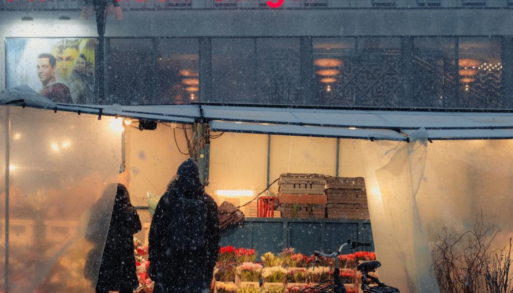 Torgmarknad på Hötorget i Stockholm. Foto: Fredrik Öhlander/Unsplash