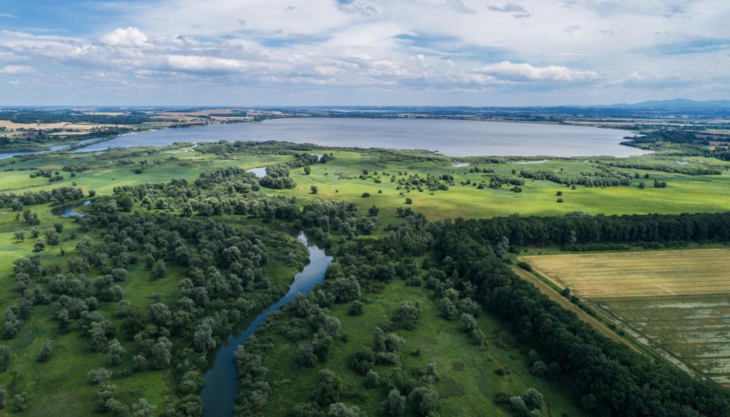 Nysa Kłodzka-floden i Polen. Foto: Sweco