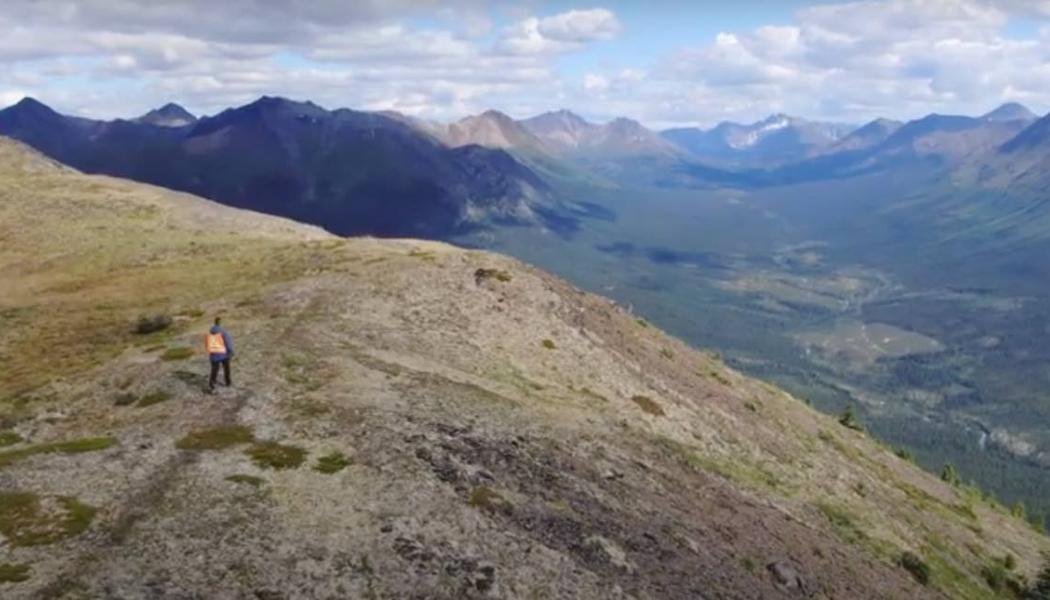 Photo: Fireweed Zinc