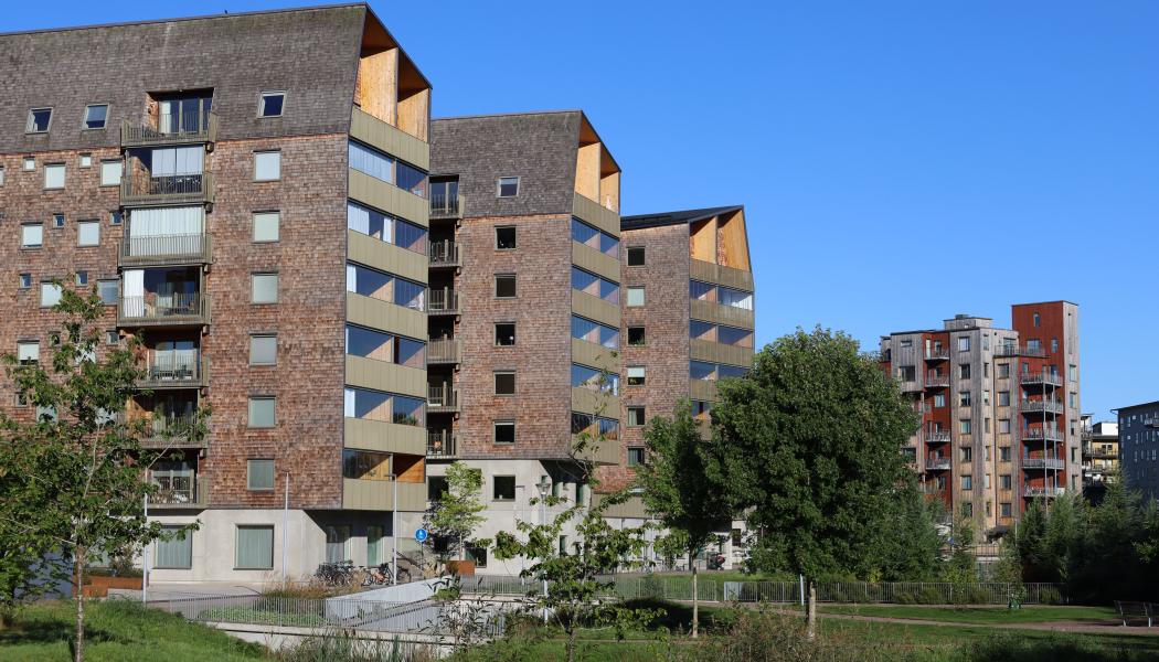 Trähus. Pressbild: Växjö Linnæus Science Park AB