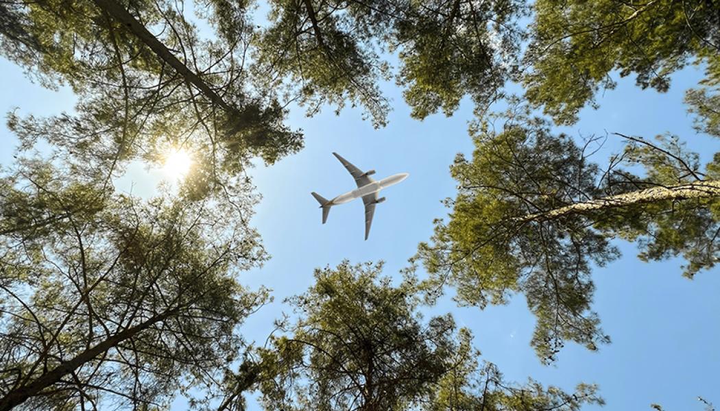 Stora planer på hållbart flygbränsle Foto: Adobe Stock