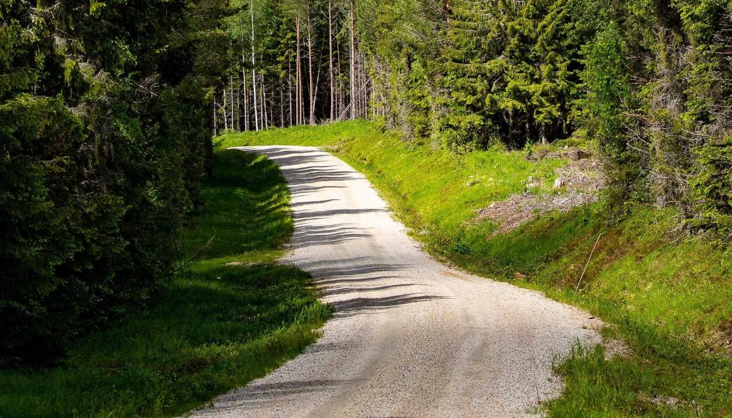 Uppdraget inkluderar bland annat vinterväghållning, slåtter, grusvägsunderhåll, trumbyten och dikesrensning, samt andra underhållsåtgärder för att upprätthålla en säker och fungerande vägstandard. Foto: Infrakraft