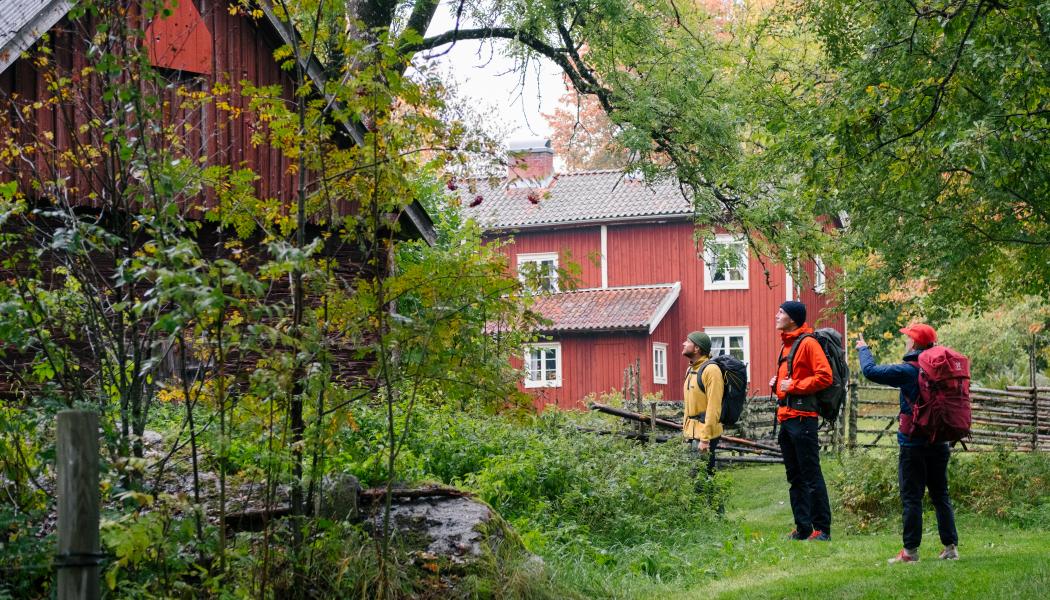 Vandring på Utvandrarleden i Småland Foto: Eric Solie/
