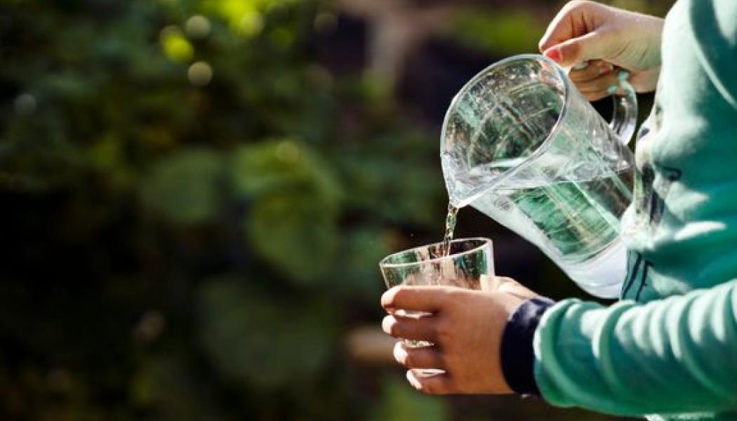 Inför sommaren har några orter i Uppsala kommun låga grundvattennivåer. Det beror på att det under våren kom mindre nederbörd än normalt. I dagsläget är det inte aktuellt med något bevattningsförbud, men läget kan snabbt förändras om det blir varmt och vattenkonsumtionen ökar. Fotograf: Johan Bävman