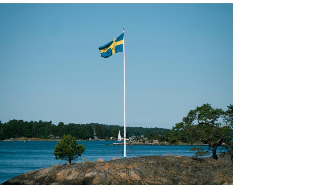 Enligt Tillväxtverket ökade de utländska gästnätterna i landet med nästan 2 procent under 2024 jämfört med 2023. Foto: camilo padilla/unsplash