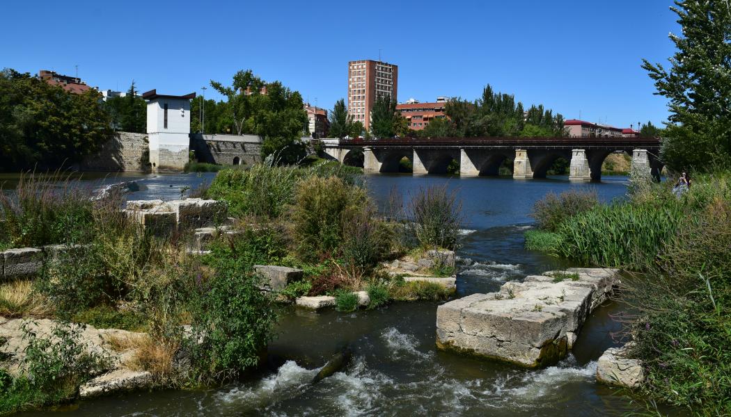 Vy över Valladolid, där planerna för höghastighetsjärnvägen utreds vidare. Foto: David L. Espina Rincon/Unsplash