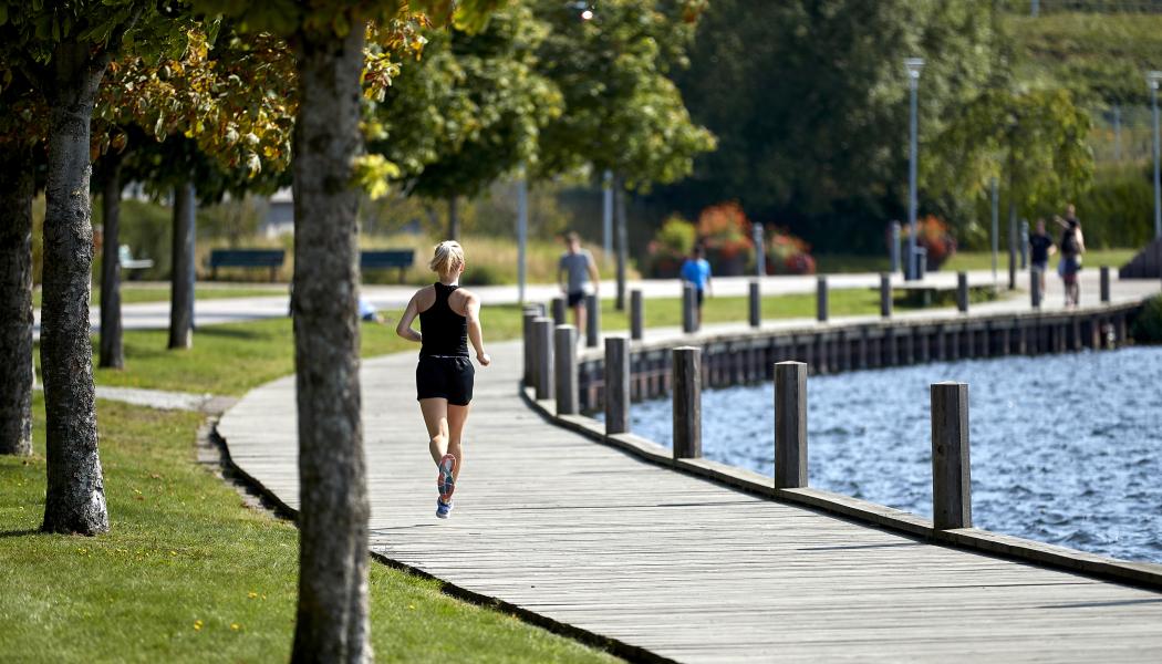 Växjösjön. Pressbild: Mats Samuelsson/Växjö kommun
