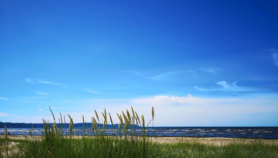 Skummeslövsstrand, Laholm. Foto: Henrik Jönsson/Unsplash