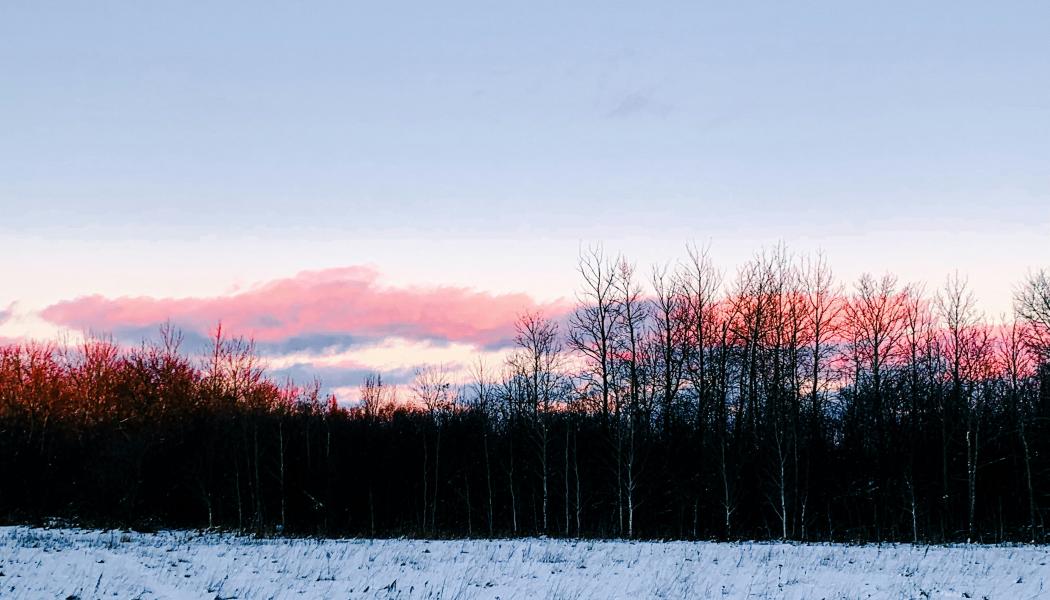 Foto: velichor / Unsplash