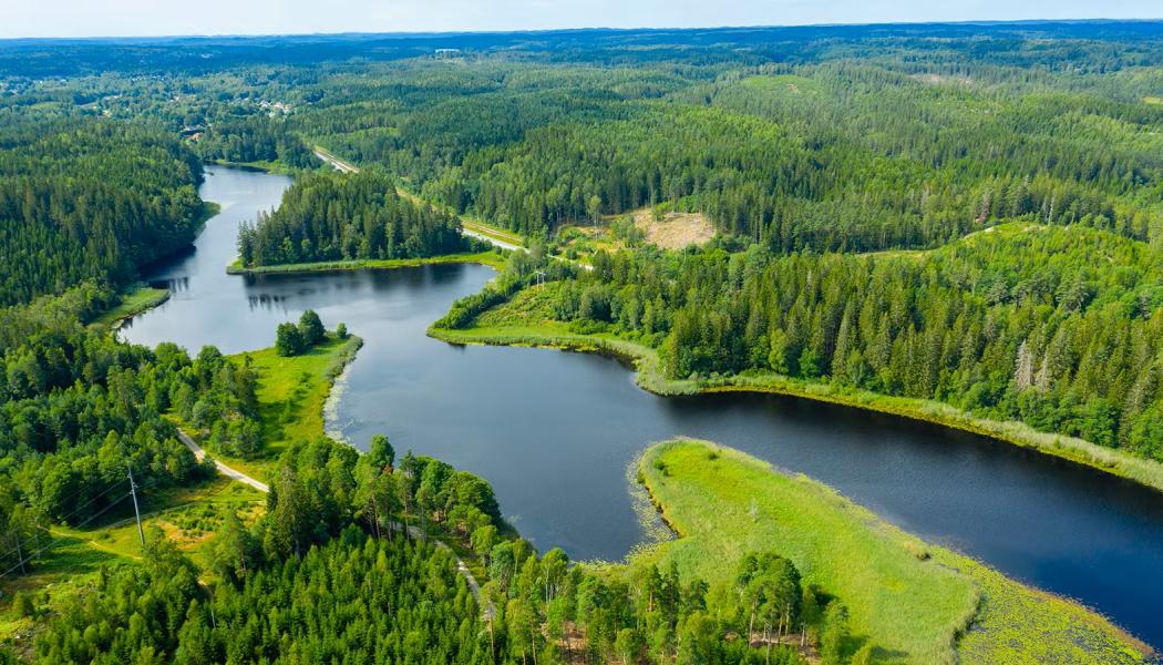 Viskans sediment är kraftigt förorenade, både från tidigare industrier i Borås och från brandövningar vid Guttasjön. Foto: Jan Kansanen, Mostphotos.