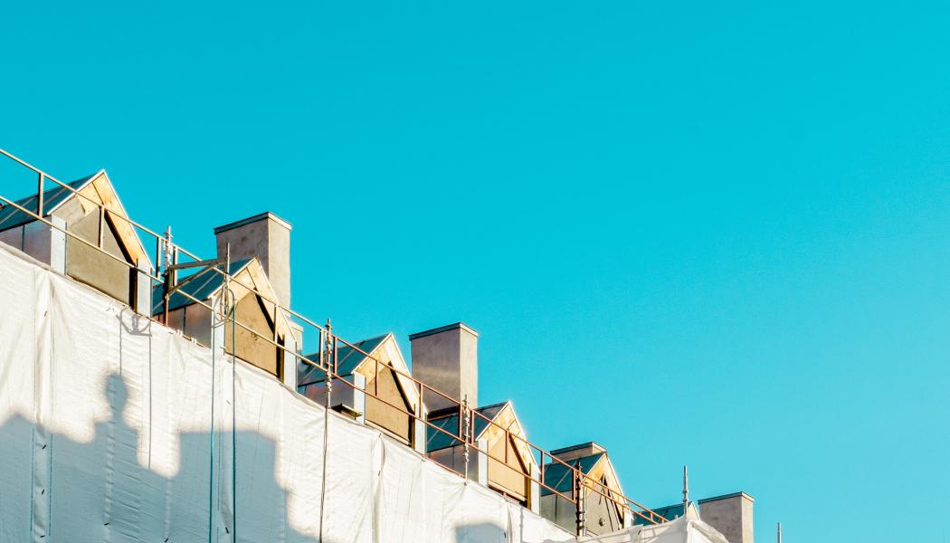 Hustak. Foto: Vlado Paunovic / Unsplash