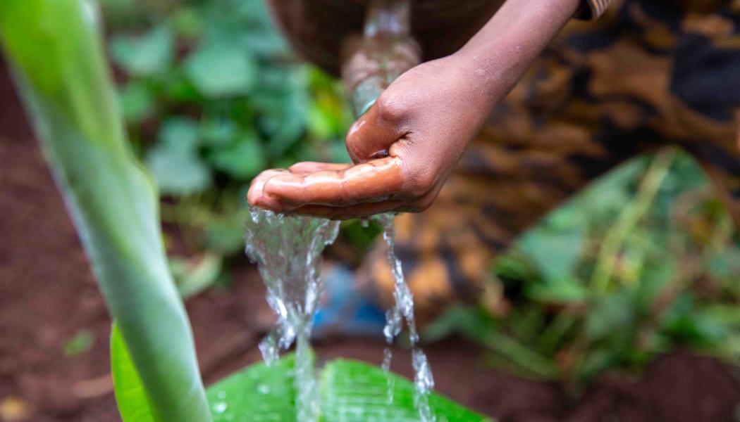 Rapporten visar att närmare tio hektar grundvatten försvinner för varje tusen hektar skog som avverkas. Foto: WaterAid / Frehiwot Gebrewold 