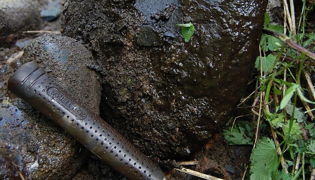 Alunskiffer. Foto: Wenkbrauwalbatros/Wikimedia Commons