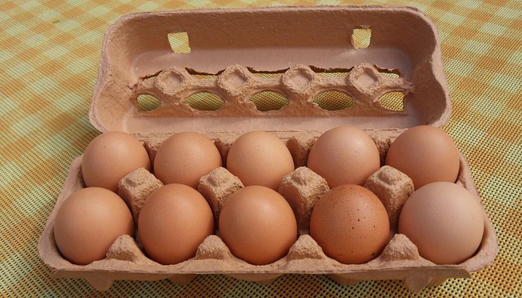 Molded fiber is the most common material for egg cartons due to its sustainability, low cost, and good cushioning properties. Photo: Wikimedia Commons