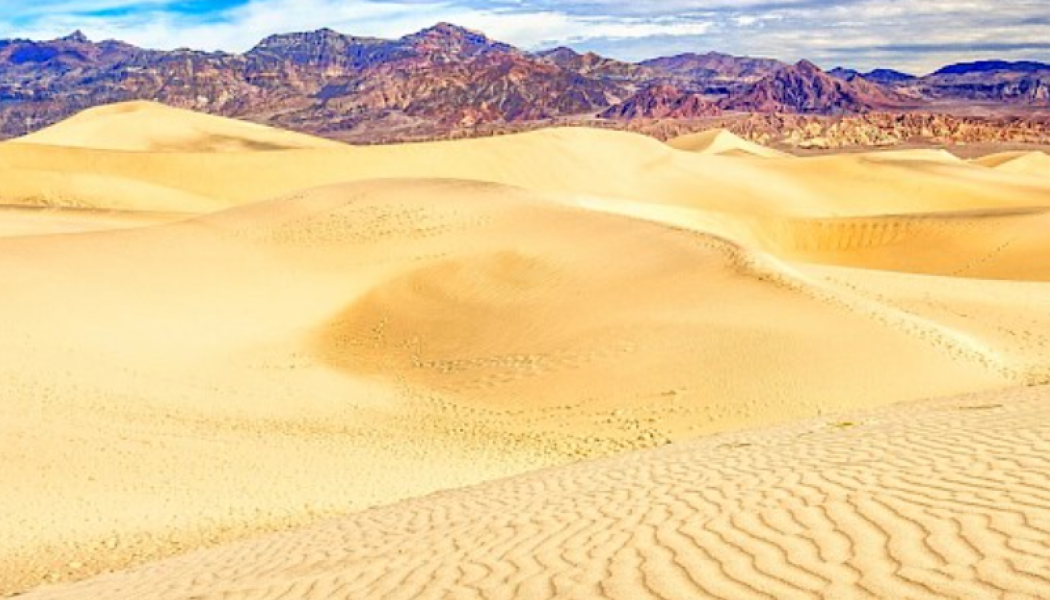 Photo: Xali Gold Corp.