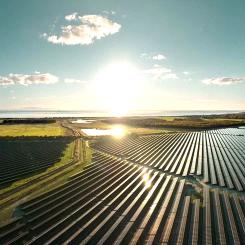 Sol- och batterianläggning i Danmark där Alight och GreenGo Energy samarbetar. Foto: Alight