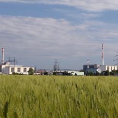 Bohunice kärnkraftverk i västra Slovakien, där den nya reaktorn planeras att byggas. Foto: Javys