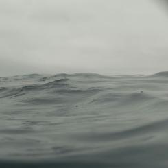 Till följd av ökande hybridhot och incidenter i Östersjön och Nordsjön kräver bolagen ett samordnade och förstärkta åtgärder för att skydda Europas nätverk. Foto: Michael Proctor/Unsplash