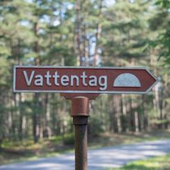 SGU meddelar att det kan komma att bli brist på vatten på flera håll i landet på grund av de låga grundvattennivåerna. Foto: Magdalena Thorsbrink/SGU