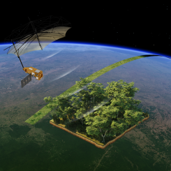 Illustration av Biomass när den mäter jordens skogar. Bild: ESA