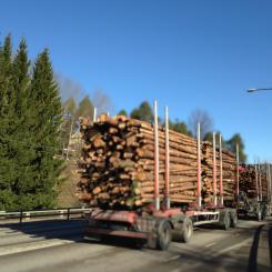 Rapportens slutsats är ”tydlig”: Ett minskat skogsbruk innebär ”lägre produktion, färre jobb och – i motsats till vad som ibland påstås – liten eller ingen klimatvinst”.