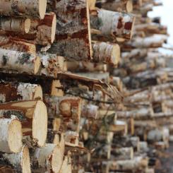Canfor is a global leader in the manufacturing of high-value low-carbon forest products including dimension and specialty lumber, engineered wood products, pulp and paper, wood pellets and renewable energy.
